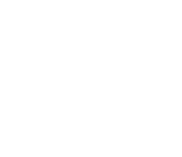 Alcis