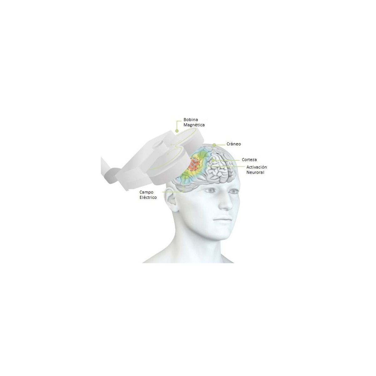 DuoMAG XT — Sistema rTMS (TMS)