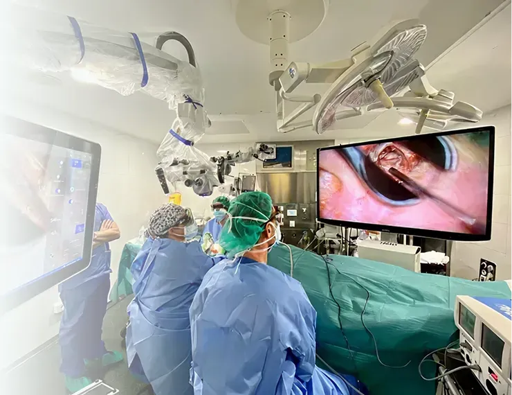 Microscopio / Exoscopio